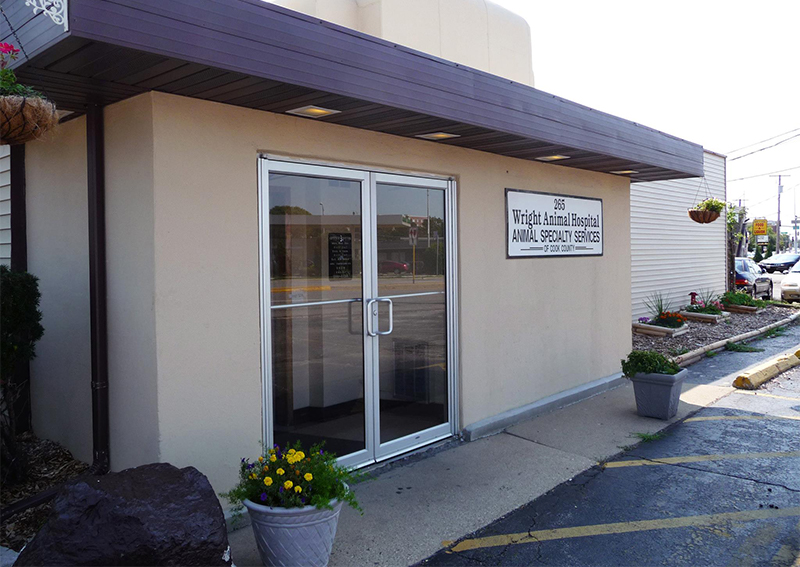 Carousel Slide 5: Wright Animal Hospital, Des Plaines